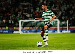 草根篮球的“广东模板”